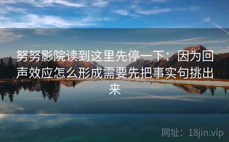 努努影院读到这里先停一下：因为回声效应怎么形成需要先把事实句挑出来